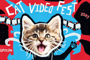 Odeon Cinema: Special Events : CatVideoFest 2024