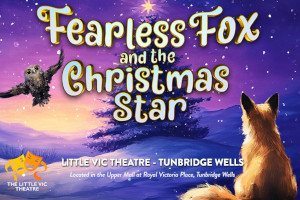 Royal Victoria Place : Fearless Fox and the Christmas Star