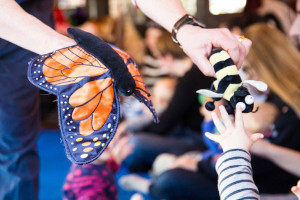 St Barnabas School : The Magical World of Hullabaloo Puppets