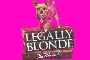 Cranbrook, Queens Hall : Legally Blonde: The Musical