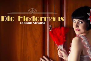 Opera House : Die Fledermaus by Merry Opera