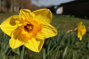 Penshurst Place & Gardens : Easter Sunday Storytelling Shows