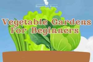 Penshurst Place & Gardens : Vegetable Gardens for Beginners Workshop