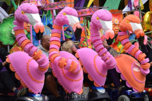 Calverley Grounds : Dancing Flamingoes